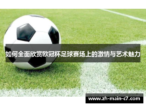 如何全面欣赏欧冠杯足球赛场上的激情与艺术魅力