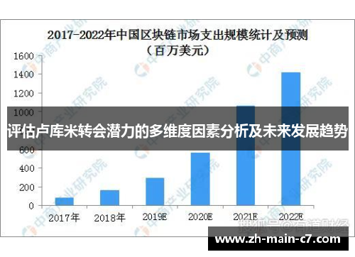 评估卢库米转会潜力的多维度因素分析及未来发展趋势