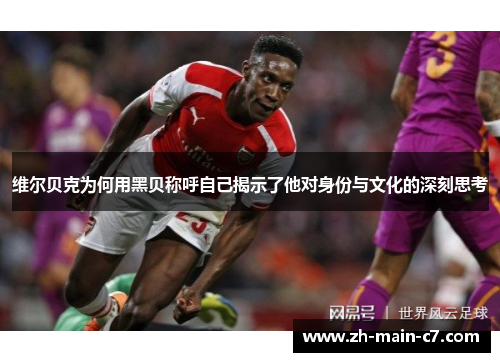 维尔贝克为何用黑贝称呼自己揭示了他对身份与文化的深刻思考