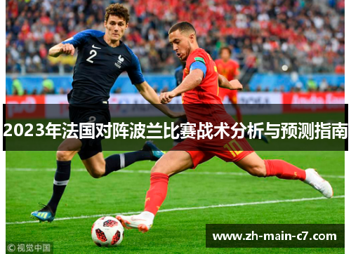 2023年法国对阵波兰比赛战术分析与预测指南