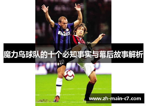 魔力鸟球队的十个必知事实与幕后故事解析