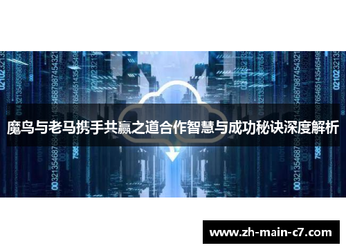 魔鸟与老马携手共赢之道合作智慧与成功秘诀深度解析