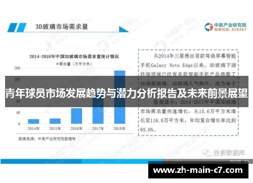 青年球员市场发展趋势与潜力分析报告及未来前景展望